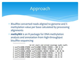 Bioinformatics Final Product claire | PPT