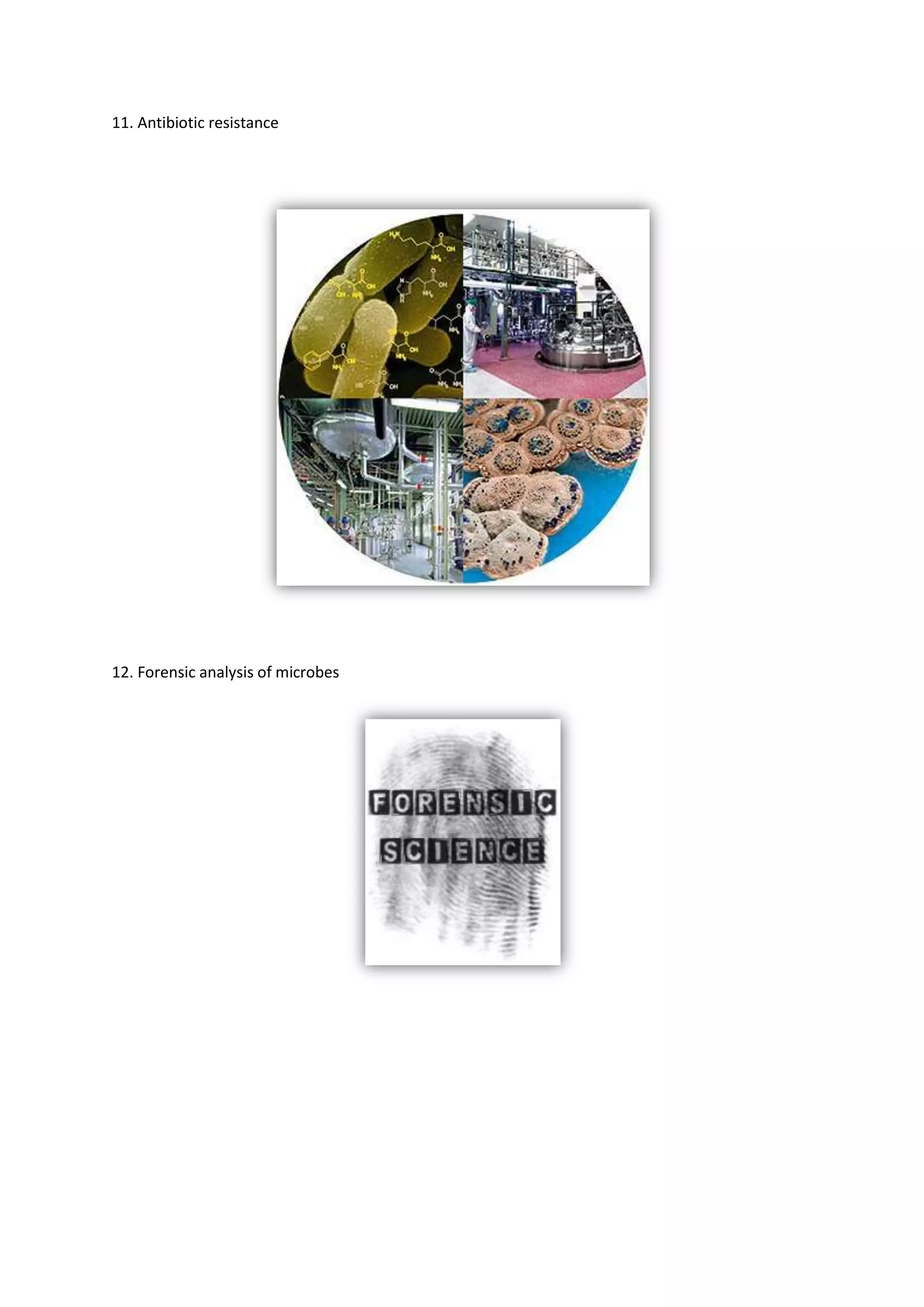 Bioinformatics Final Report