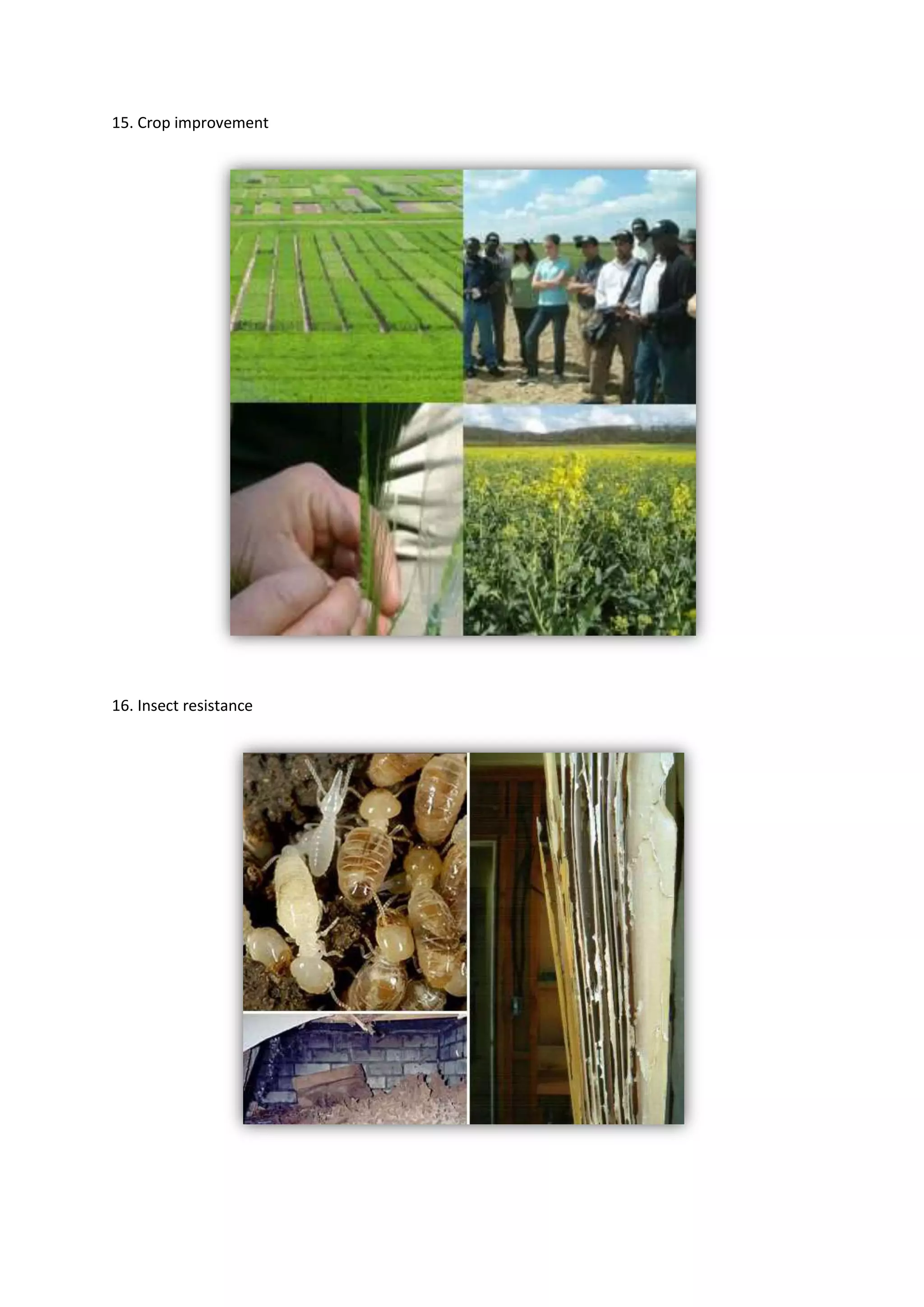 Bioinformatics Final Report