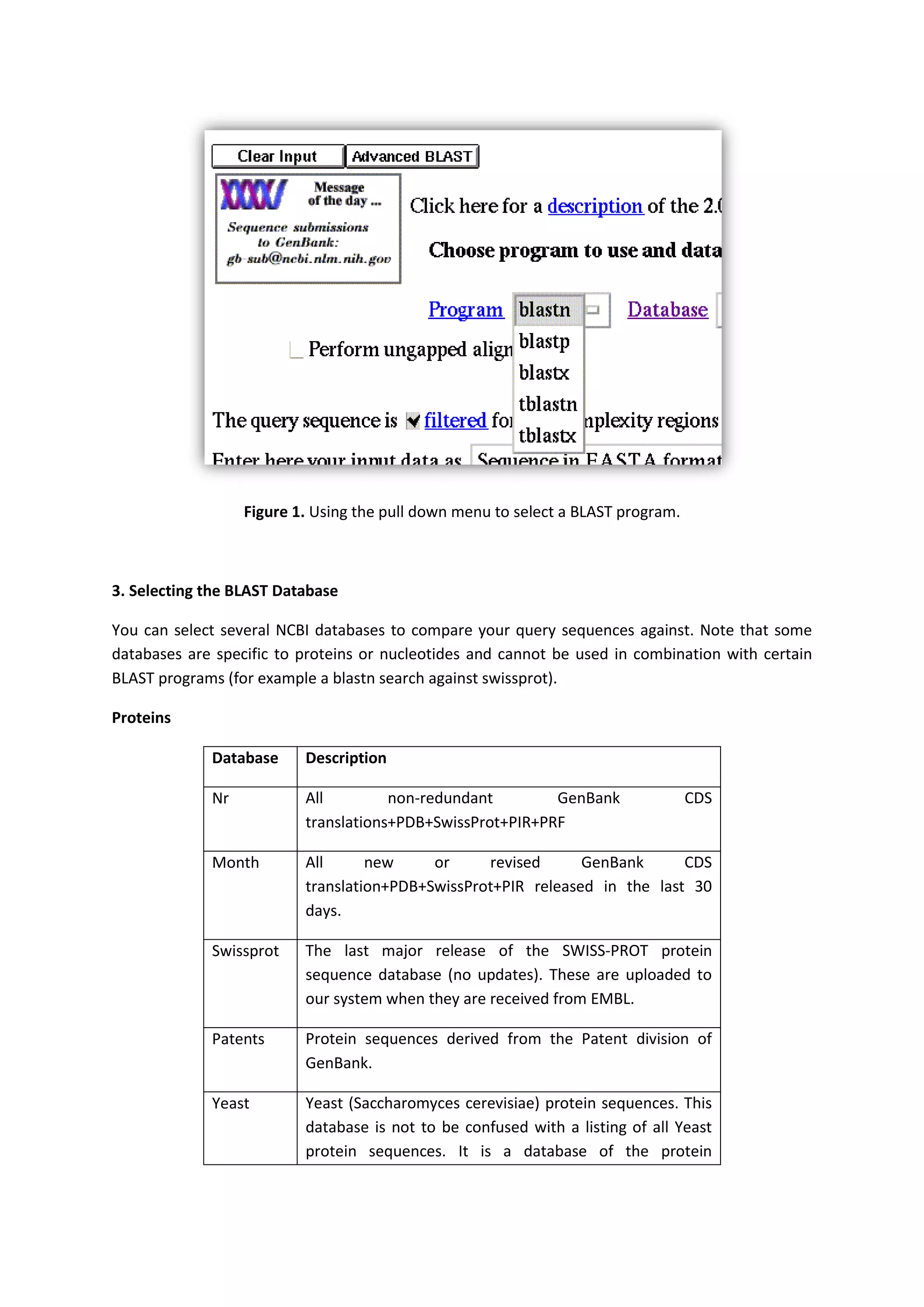 Bioinformatics Final Report
