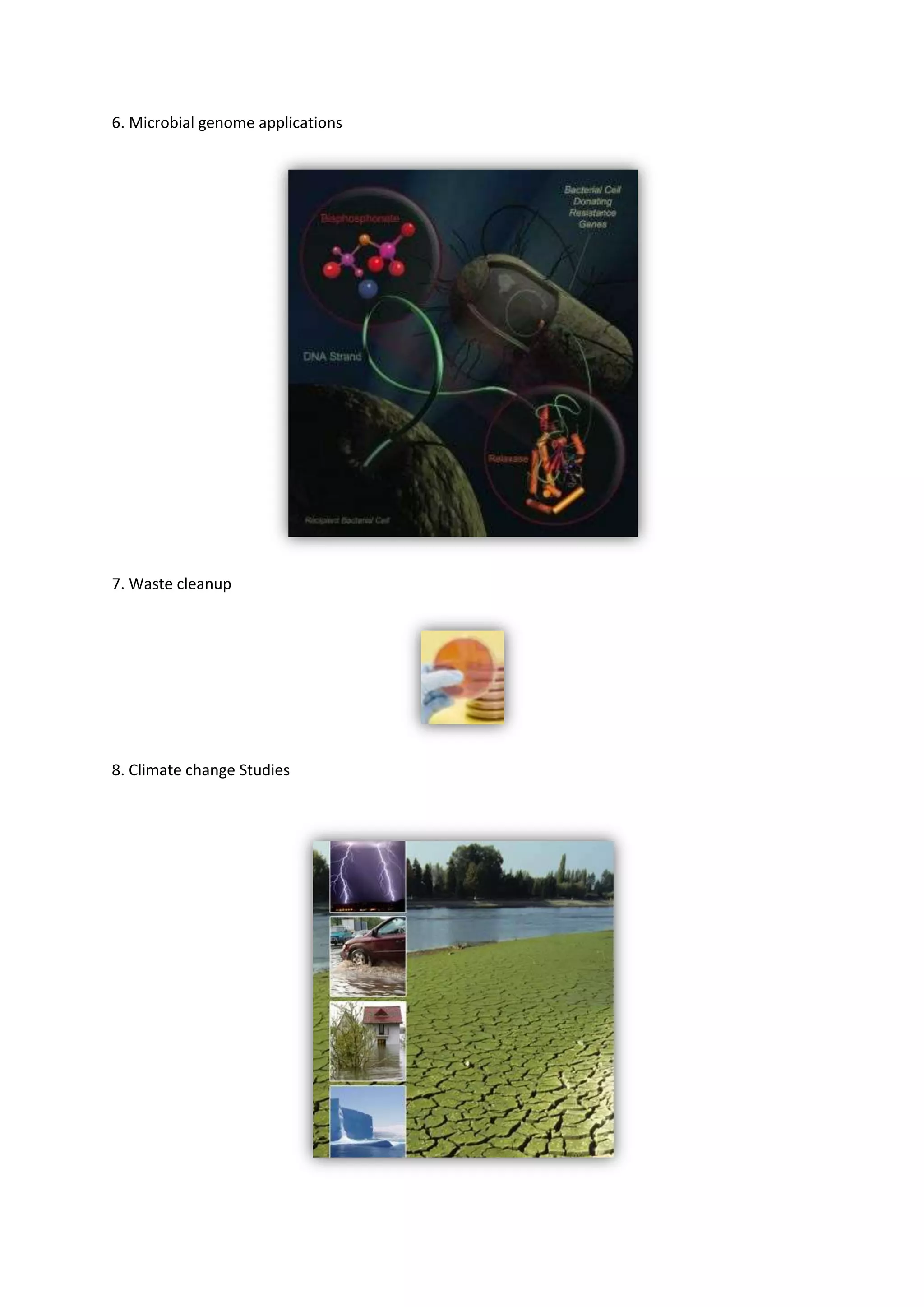 Bioinformatics Final Report