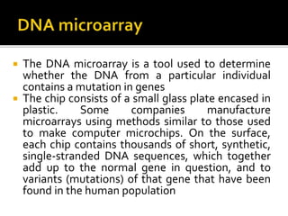  The DNA microarray is a tool used to determine
whether the DNA from a particular individual
contains a mutation in genes
 The chip consists of a small glass plate encased in
plastic. Some companies manufacture
microarrays using methods similar to those used
to make computer microchips. On the surface,
each chip contains thousands of short, synthetic,
single-stranded DNA sequences, which together
add up to the normal gene in question, and to
variants (mutations) of that gene that have been
found in the human population
 