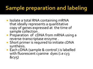  Isolate a total RNA containing mRNA
that ideally represents a quantitative
copy of genes expressed at the time of
sample collection .
 Preparation of cDNA from mRNA using a
reverse-transcriptase enzyme .
 Short primer is required to initiate cDNA
synthesis.
 Each cDNA (sample & control ) is labelled
with fluorescent cyanine dyes (i.e cy3
&cy5)
 
