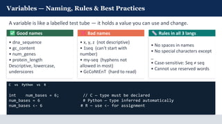 Comprehensive Introduction to Bioinformatics Programming with C, Python ...