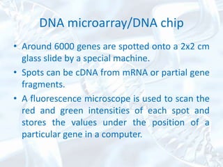 Bioinformatics in medicine | PPTX