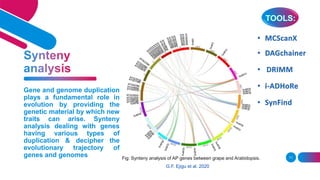 11
Gene and genome duplication
plays a fundamental role in
evolution by providing the
genetic material by which new
traits can arise. Synteny
analysis dealing with genes
having various types of
duplication & decipher the
evolutionary trajectory of
genes and genomes Fig: Synteny analysis of AP genes between grape and Arabidopsis.
G.F. Ejigu et al. 2020
 