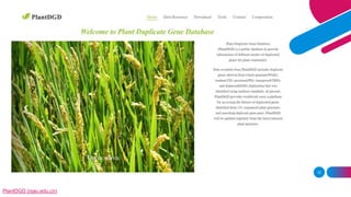 12
PlantDGD (njau.edu.cn)
 