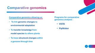 13
Comparative genomics allowing us:
• To link genomic changes to
environmental adaptation
• To transfer knowledge from
model species to others plants
• To trace structural changes within
a genome through time
Programs for comparative
genomics analysis :
 