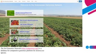 14
The Sol Genomics Network (https://solgenomics.net/) is a
database for comparative genomics platform for Solanaceae
species.
 