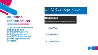 7
To accelerate the mutation
mapping for crop
improvement, several
high-throughput and
novel NGS based forward
genetic approaches are
available.
 