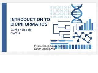 Bioinformatics_Introduction Presentaiton | PPT