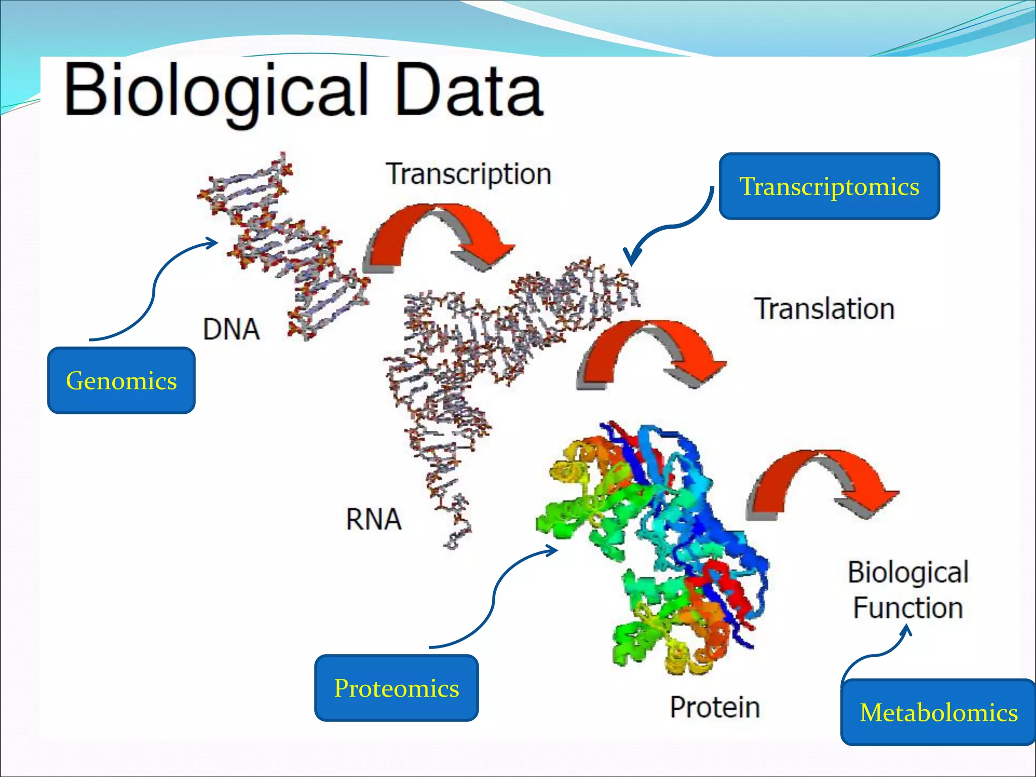 Genomics
Transcriptomics
Proteomics
Metabolomics
 