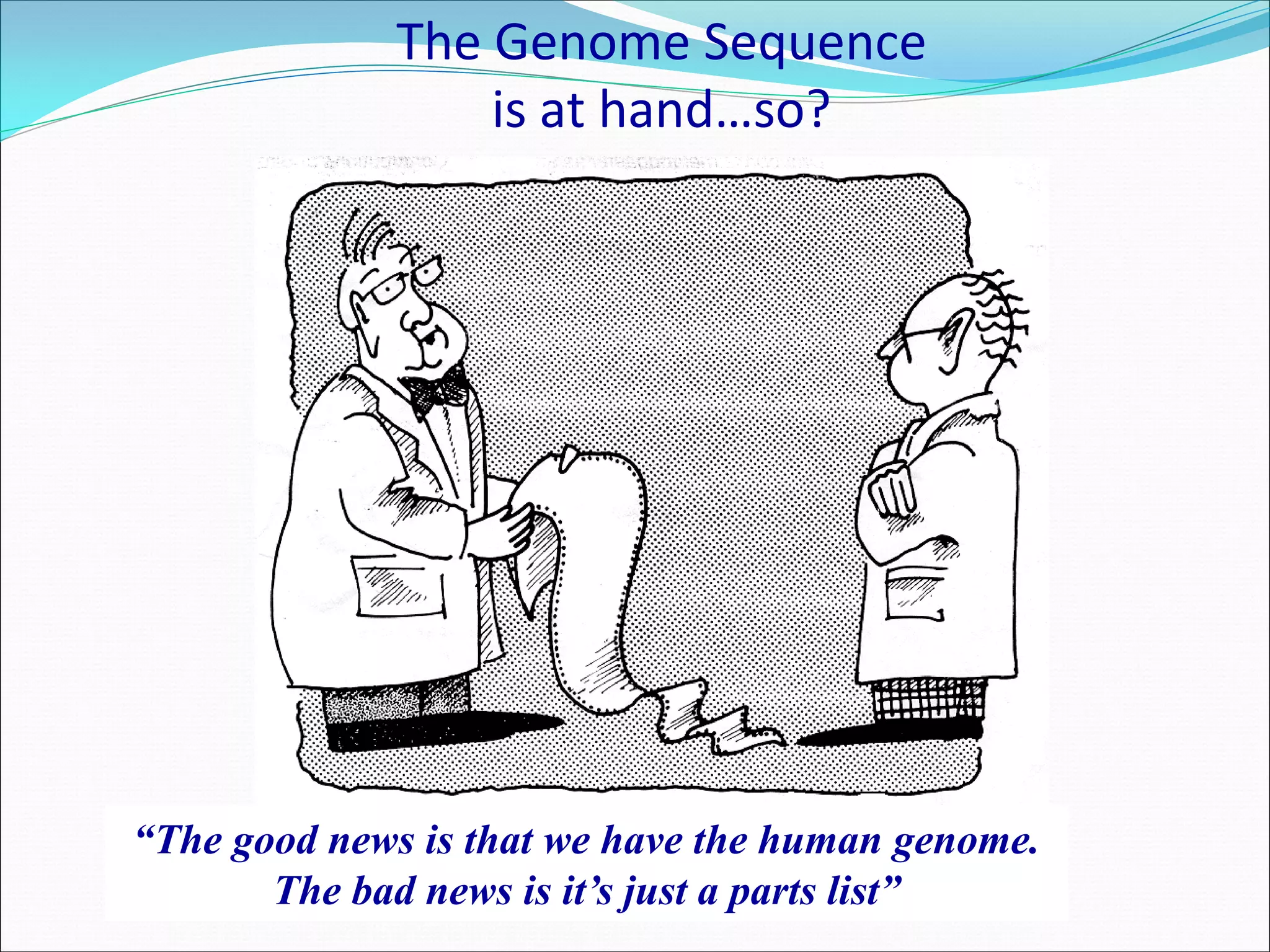 The Genome Sequence
is at hand…so?
“The good news is that we have the human genome.
The bad news is it’s just a parts list”
 