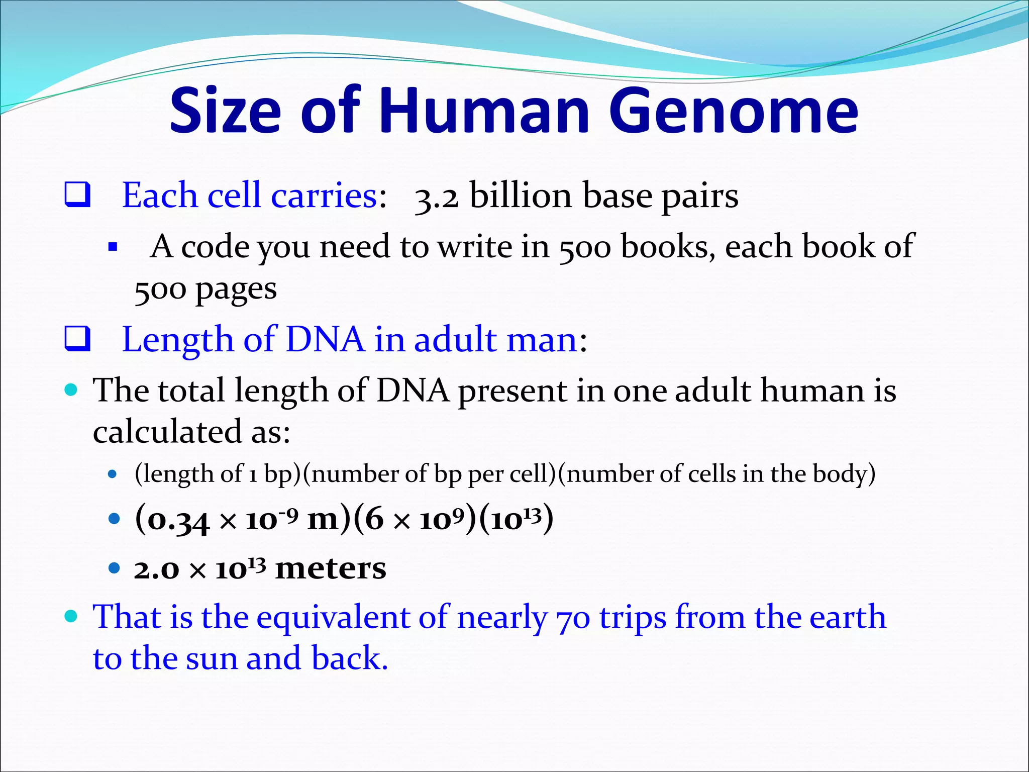 Size of Human Genome
 Each cell carries: 3.2 billion base pairs
 A code you need to write in 500 books, each book of
500 pages
 Length of DNA in adult man:
 The total length of DNA present in one adult human is
calculated as:
 (length of 1 bp)(number of bp per cell)(number of cells in the body)
 (0.34 × 10-9 m)(6 × 109)(1013)
 2.0 × 1013 meters
 That is the equivalent of nearly 70 trips from the earth
to the sun and back.
 