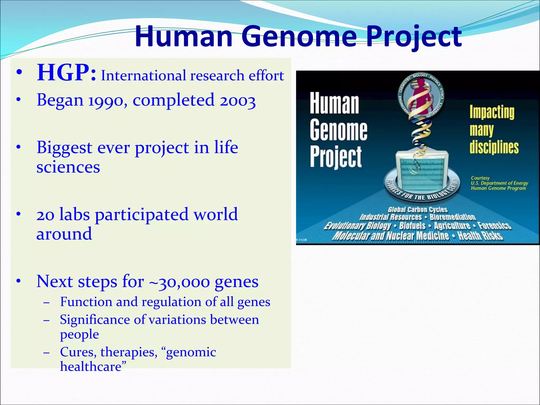 Human Genome Project
• HGP: International research effort
• Began 1990, completed 2003
• Biggest ever project in life
sciences
• 20 labs participated world
around
• Next steps for ~30,000 genes
– Function and regulation of all genes
– Significance of variations between
people
– Cures, therapies, “genomic
healthcare”
 