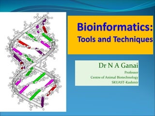 Dr N A Ganai
Professor
Centre of Animal Biotechnology
SKUAST-Kashmir
 