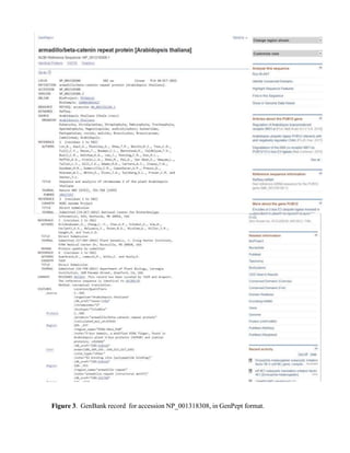 Bioinformatics Lab01.docx