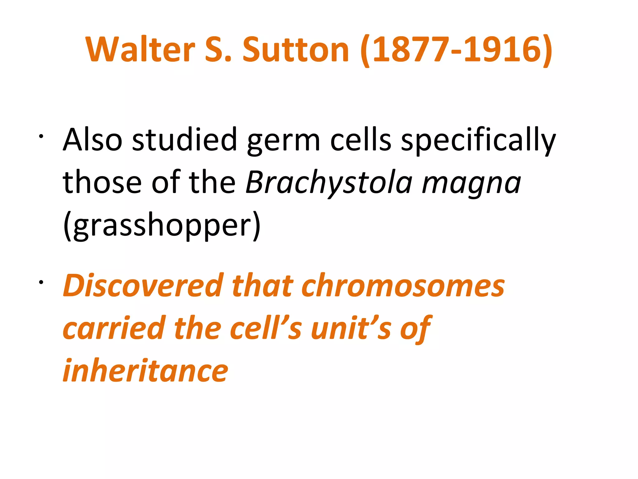 Walter S. Sutton (1877-1916) Also studied germ cells specifically those of the  Brachystola magna  (grasshopper) Discovered that chromosomes carried the cell’s unit’s of inheritance 