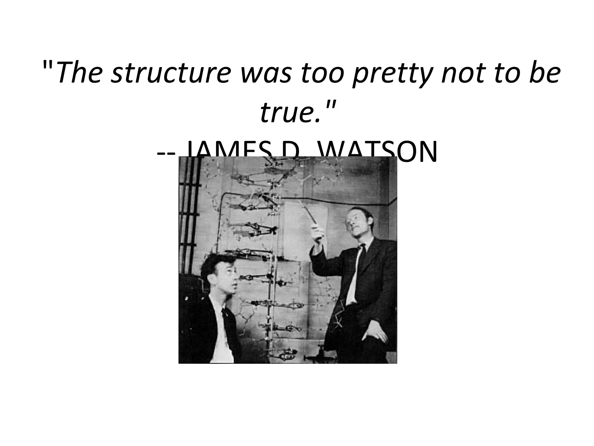 &quot; The structure was too pretty not to be true.&quot;  -- JAMES D. WATSON  