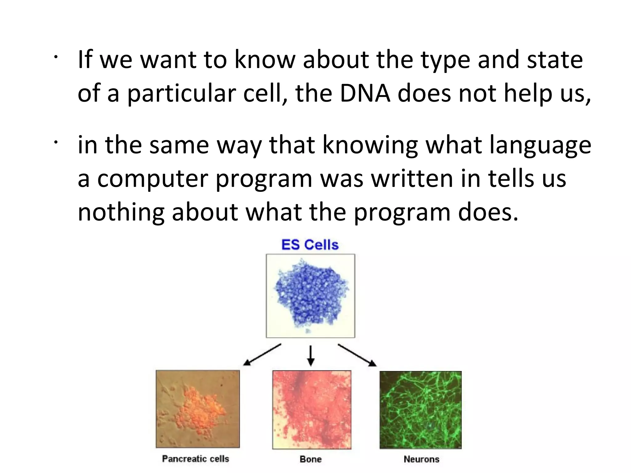 If we want to know about the type and state of a particular cell, the DNA does not help us,  in the same way that knowing what language a computer program was written in tells us nothing about what the program does. 