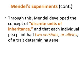 Mendel’s Experiments  (cont.) Through this, Mendel developed the concept of  “discrete units of inheritance,”  and that each individual pea plant had  two versions ,  or alleles , of a trait determining gene. 