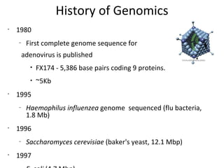 History of Genomics 1980  First complete genome sequence for  adenovirus is published FX174 - 5,386 base pairs coding 9 proteins.  ~5Kb 1995  Haemophilus influenzea  genome  sequenced (flu bacteria, 1.8 Mb) 1996  Saccharomyces cerevisiae  (baker's yeast, 12.1 Mbp)  1997  E. coli  (4.7 Mbp)  2000 Pseudomonas aeruginosa  (6.3 Mbp)  A. thaliana genome (100 Mb)  D. melanogaster genome (180Mb) 