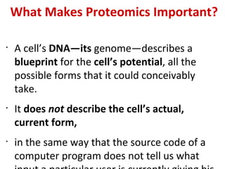 What Makes Proteomics Important? A cell’s  DNA—its  genome—describes a  blueprint  for the  cell’s potential , all the possible forms that it could conceivably take.  It  does  not  describe the cell’s actual, current form,  in the same way that the source code of a computer program does not tell us what input a particular user is currently giving his copy of that program. 