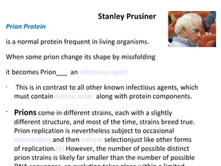 Stanley Prusiner Prion Protein  is a normal protein frequent in living organisms.  When some prion change its shape by missfolding  it becomes Prion___  an  infectious agent     This is in contrast to all other known infectious agents, which must contain  nucleic acids   along with protein components.  Prions  come in different strains, each with a slightly different structure, and most of the time, strains breed true. Prion replication is nevertheless subject to occasional  epimutation  and then  natural  selection just like other forms of replication. [8]  However, the number of possible distinct prion strains is likely far smaller than the number of possible DNA sequences, so evolution takes place within a limited space. 