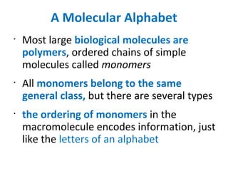 A Molecular Alphabet Most large  biological molecules are polymers , ordered chains of simple molecules called  monomers All  monomers belong to the same general class,  but there are several types the ordering of monomers  in the macromolecule encodes information, just like the  letters of an alphabet 