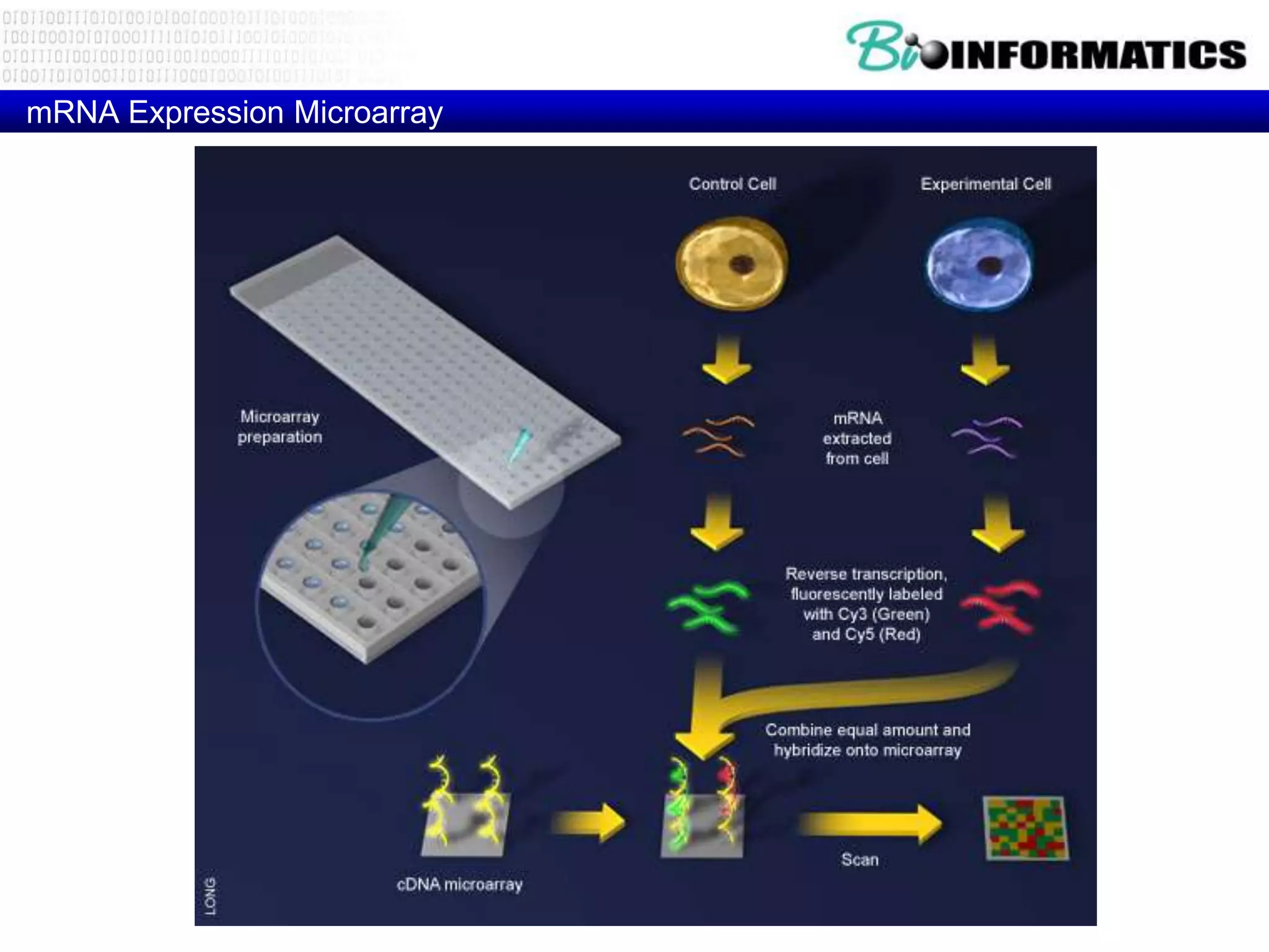 mRNA Expression Microarray
 