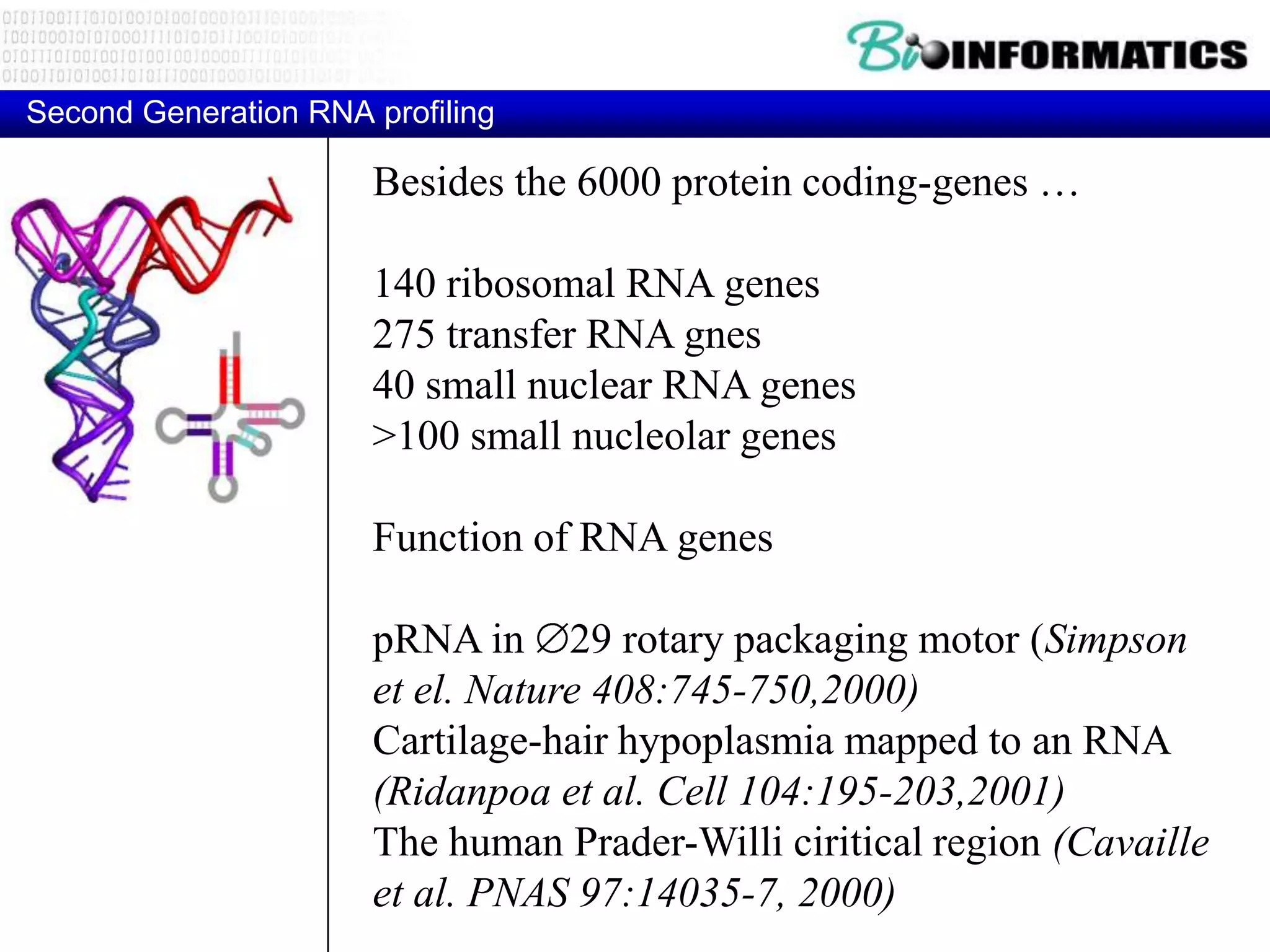 Second Generation RNA profiling

                      Besides the 6000 protein coding-genes …

                      140 ribosomal RNA genes
                      275 transfer RNA gnes
                      40 small nuclear RNA genes
                      >100 small nucleolar genes

                      Function of RNA genes

                      pRNA in 29 rotary packaging motor (Simpson
                      et el. Nature 408:745-750,2000)
                      Cartilage-hair hypoplasmia mapped to an RNA
 Contents-Schedule




                      (Ridanpoa et al. Cell 104:195-203,2001)
                      The human Prader-Willi ciritical region (Cavaille
                      et al. PNAS 97:14035-7, 2000)
 