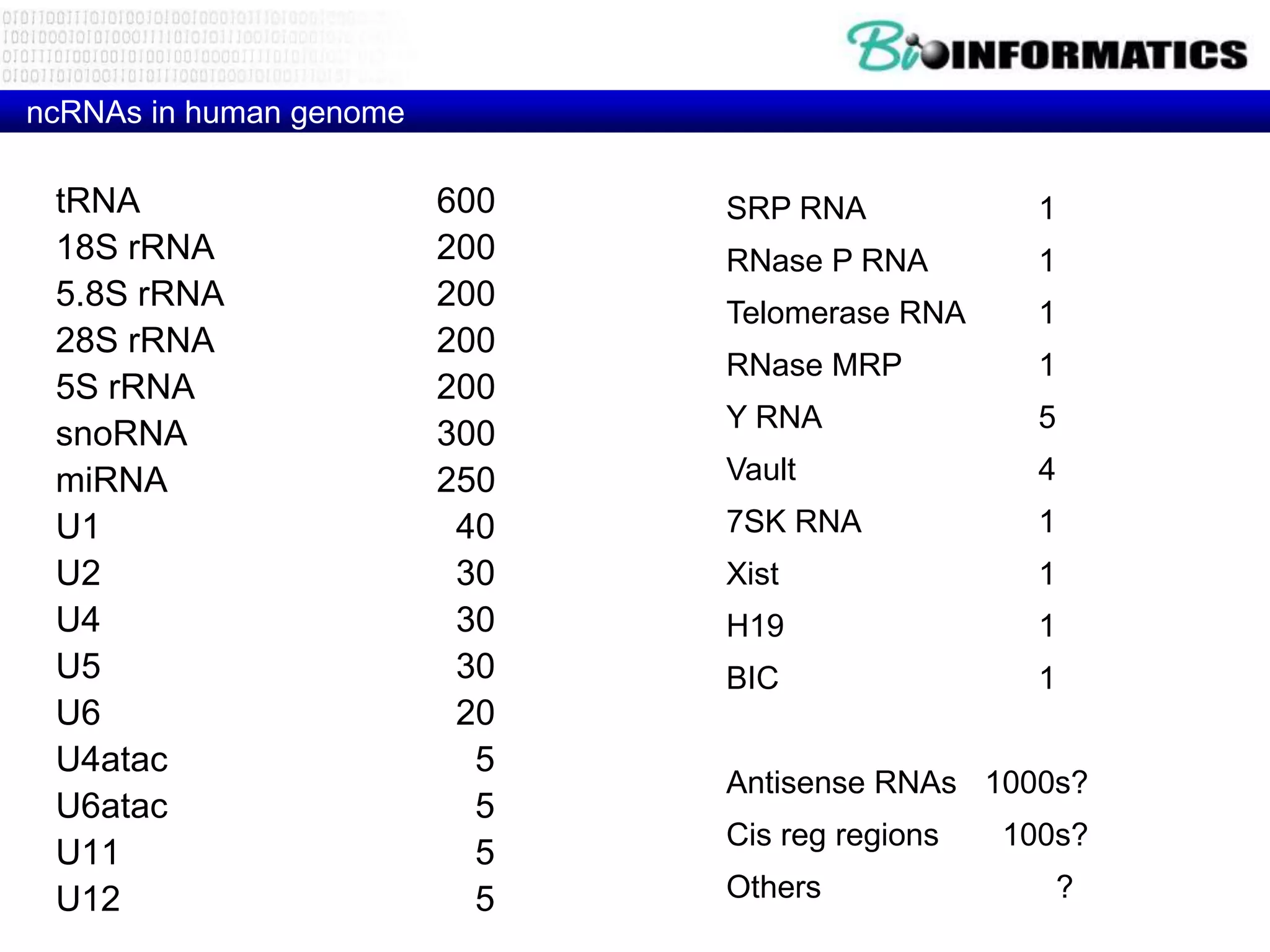 ncRNAs in human genome

 tRNA                    600   SRP RNA             1
 18S rRNA                200   RNase P RNA         1
 5.8S rRNA               200
                               Telomerase RNA      1
 28S rRNA                200
                               RNase MRP           1
 5S rRNA                 200
                               Y RNA               5
 snoRNA                  300
 miRNA                   250   Vault               4
 U1                       40   7SK RNA             1
 U2                       30   Xist                1
 U4                       30   H19                 1
 U5                       30   BIC                 1
 U6                       20
 U4atac                    5
                               Antisense RNAs 1000s?
 U6atac                    5
                               Cis reg regions   100s?
 U11                       5
 U12                       5   Others               ?
 