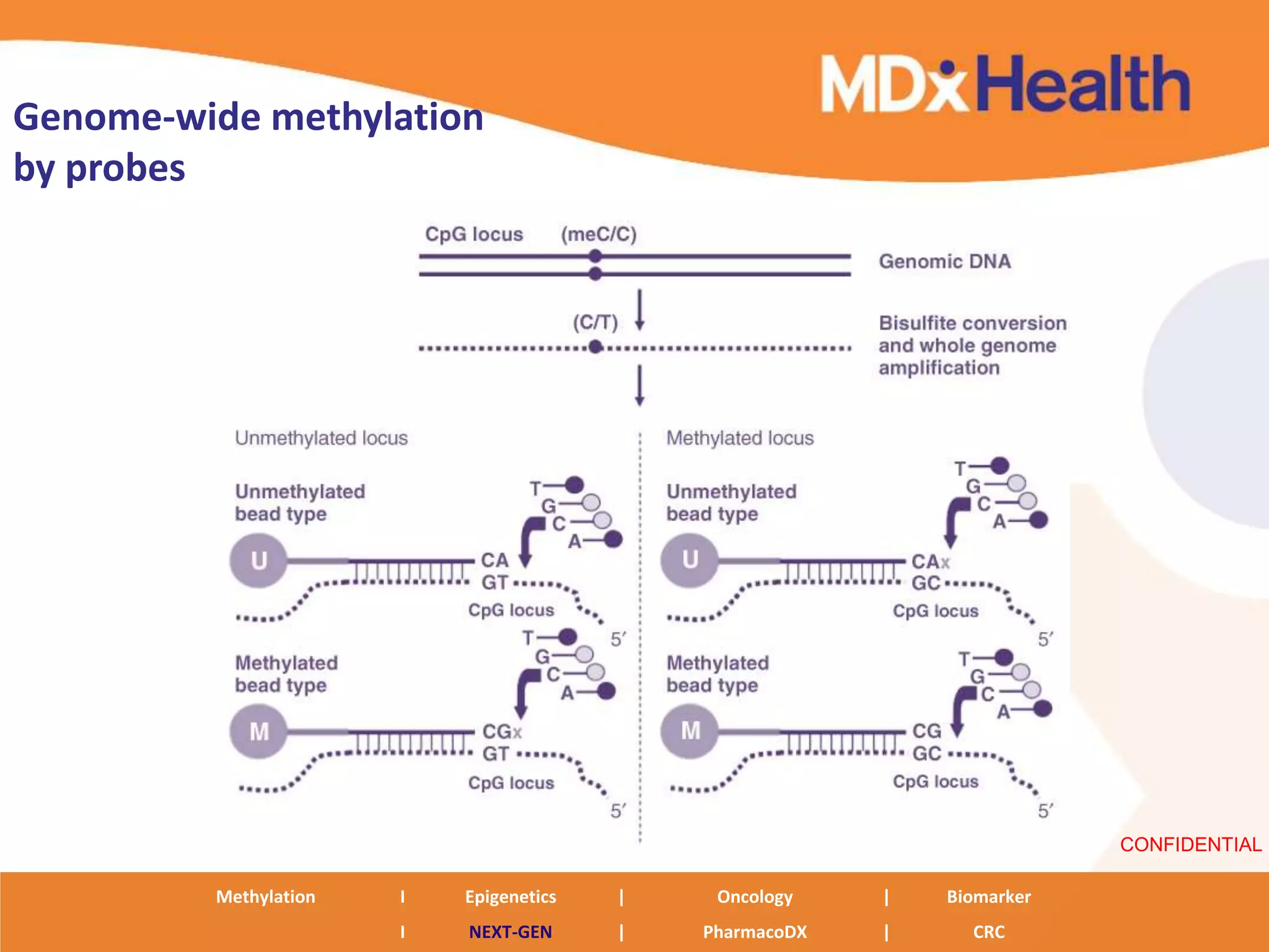 Genome-wide methylation
by probes




                                                                          CONFIDENTIAL

         Methylation   I   Epigenetics   |    Oncology    |   Biomarker
                       I   NEXT-GEN      |   PharmacoDX   |     CRC
 