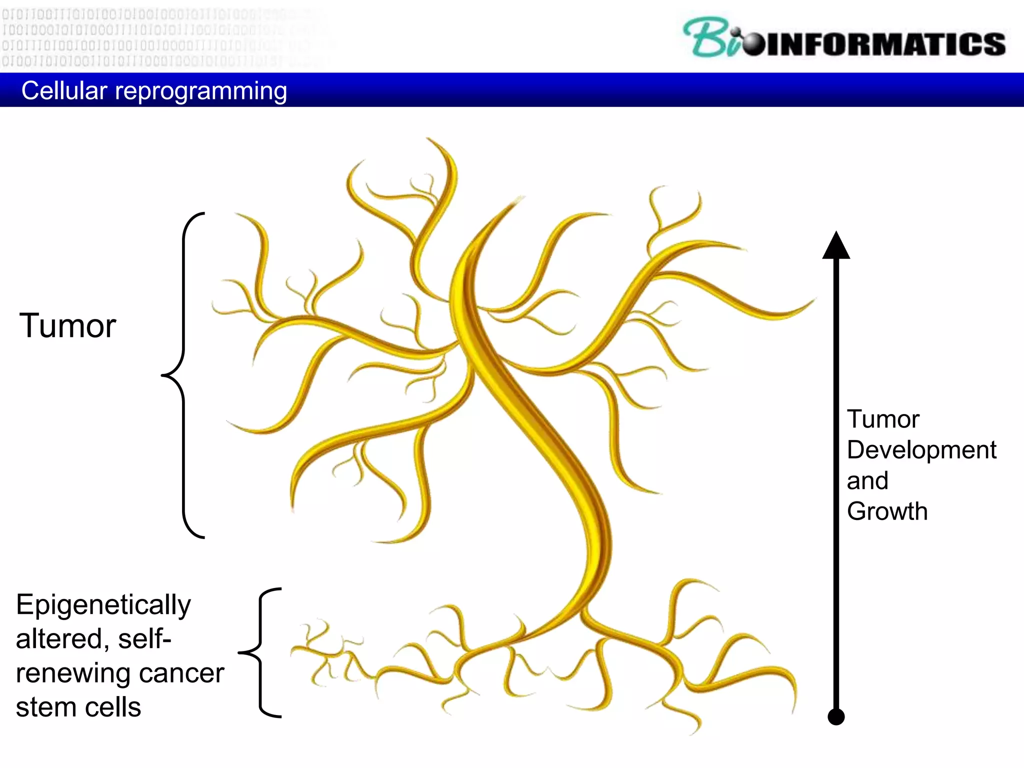 Cellular reprogramming




Tumor

                         Tumor
                         Development
                         and
                         Growth


Epigenetically
altered, self-
renewing cancer
stem cells
 