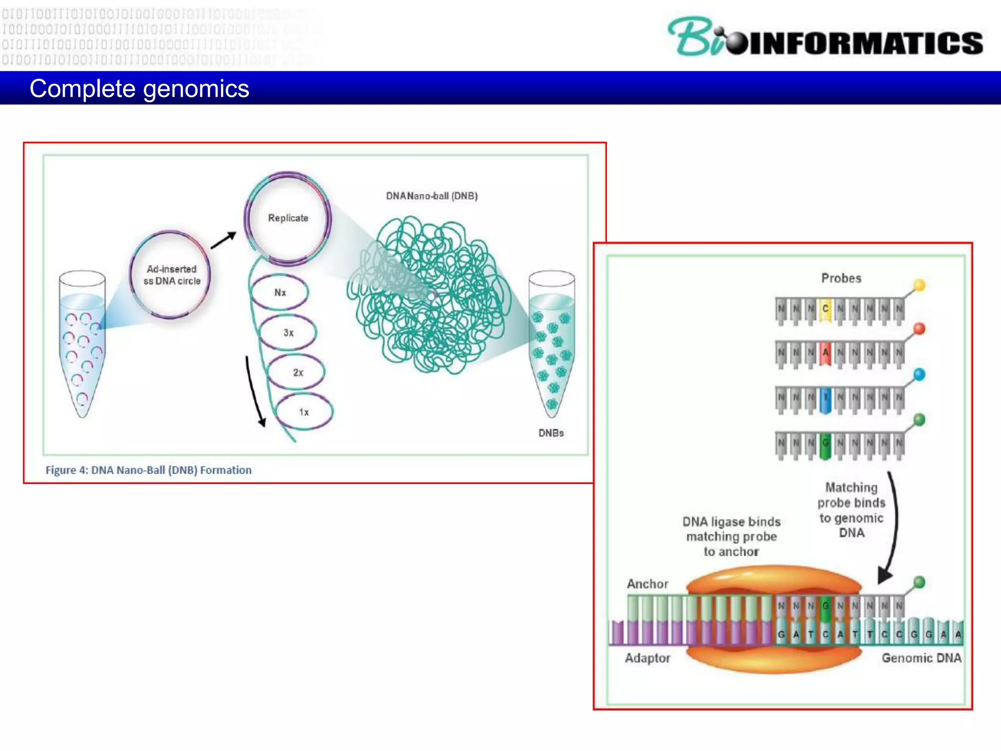 Complete genomics
 