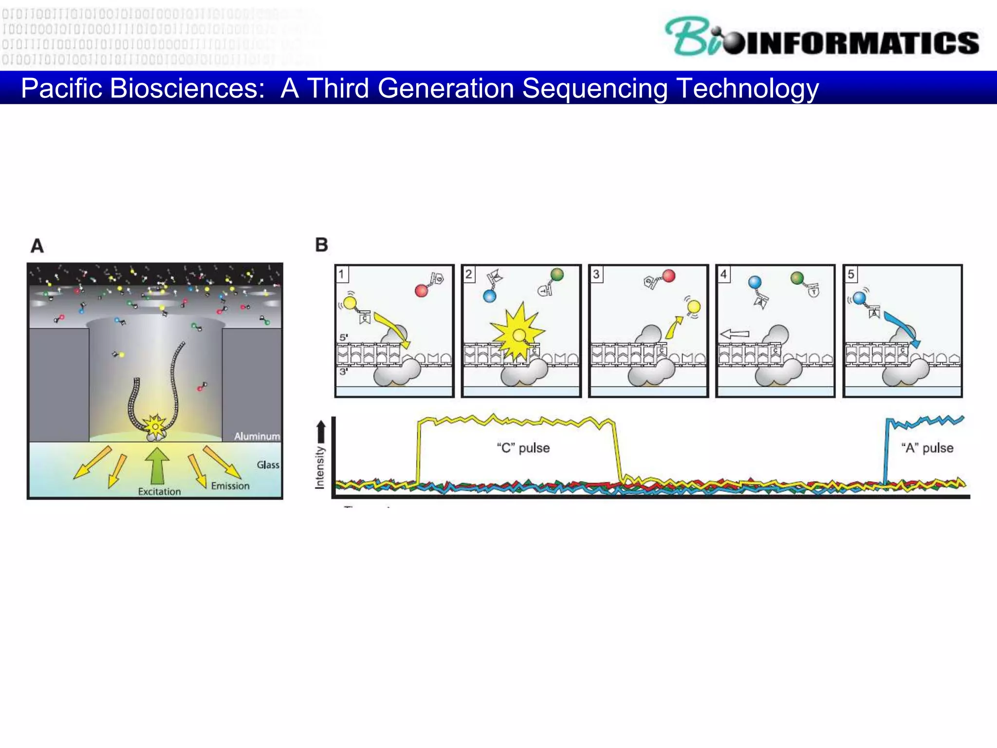 Pacific Biosciences: A Third Generation Sequencing Technology




                                                     Eid et al 2008
 