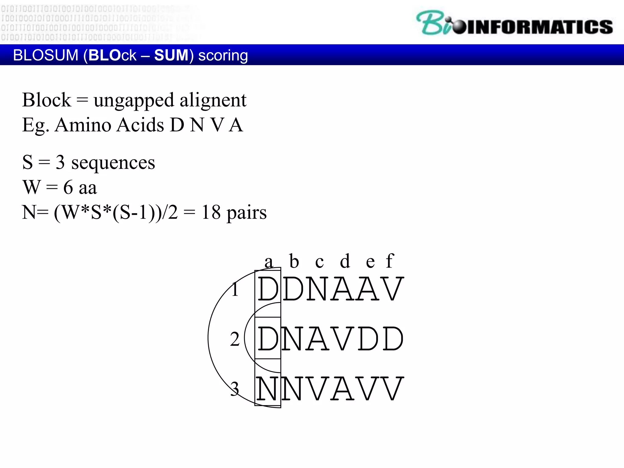 BLOSUM (BLOck – SUM) scoring

 Block = ungapped alignent
 Eg. Amino Acids D N V A
 S = 3 sequences
 W = 6 aa
 N= (W*S*(S-1))/2 = 18 pairs

                               a b c d e f
                         1     DDNAAV
                         2     DNAVDD
                         3     NNVAVV
 