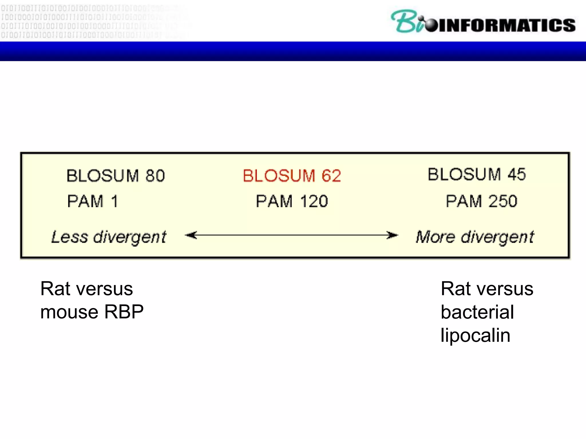 Rat versus   Rat versus
mouse RBP    bacterial
             lipocalin
 