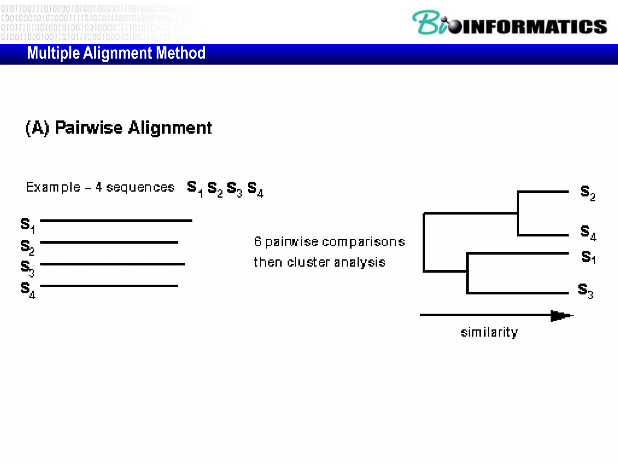 Multiple Alignment Method
 