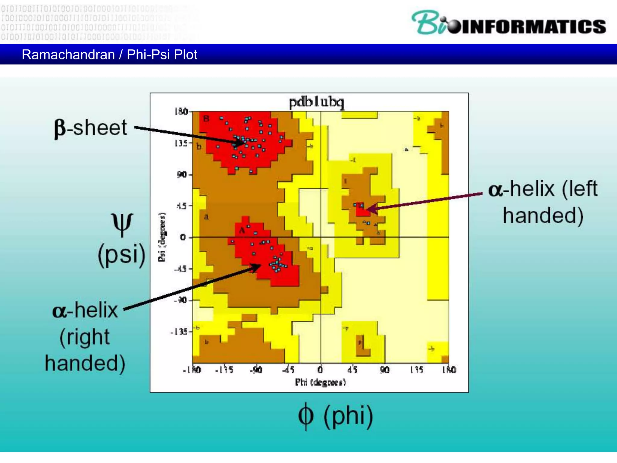 Ramachandran / Phi-Psi Plot
 