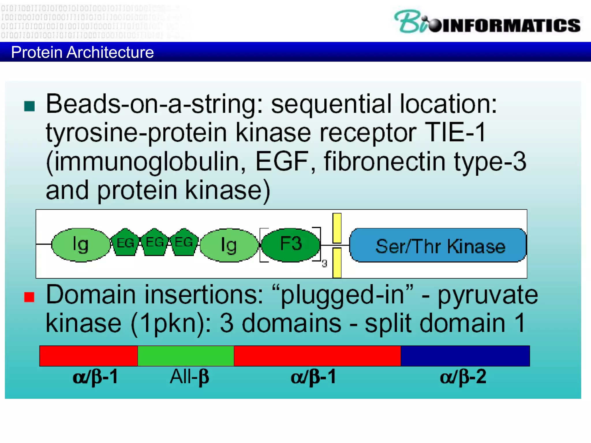 Protein Architecture
 