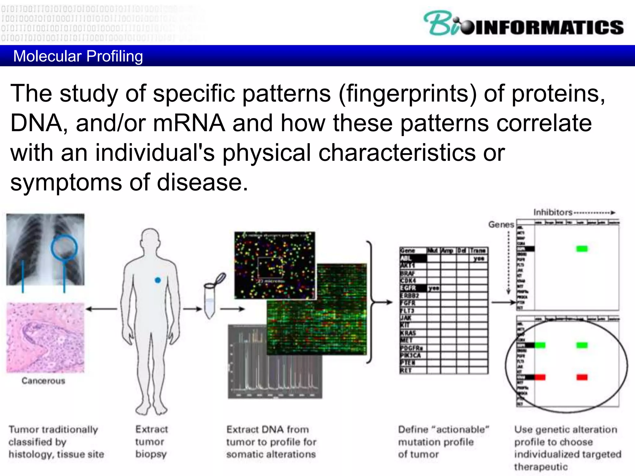 Molecular Profiling

The study of specific patterns (fingerprints) of proteins,
DNA, and/or mRNA and how these patterns correlate
with an individual's physical characteristics or
symptoms of disease.
 