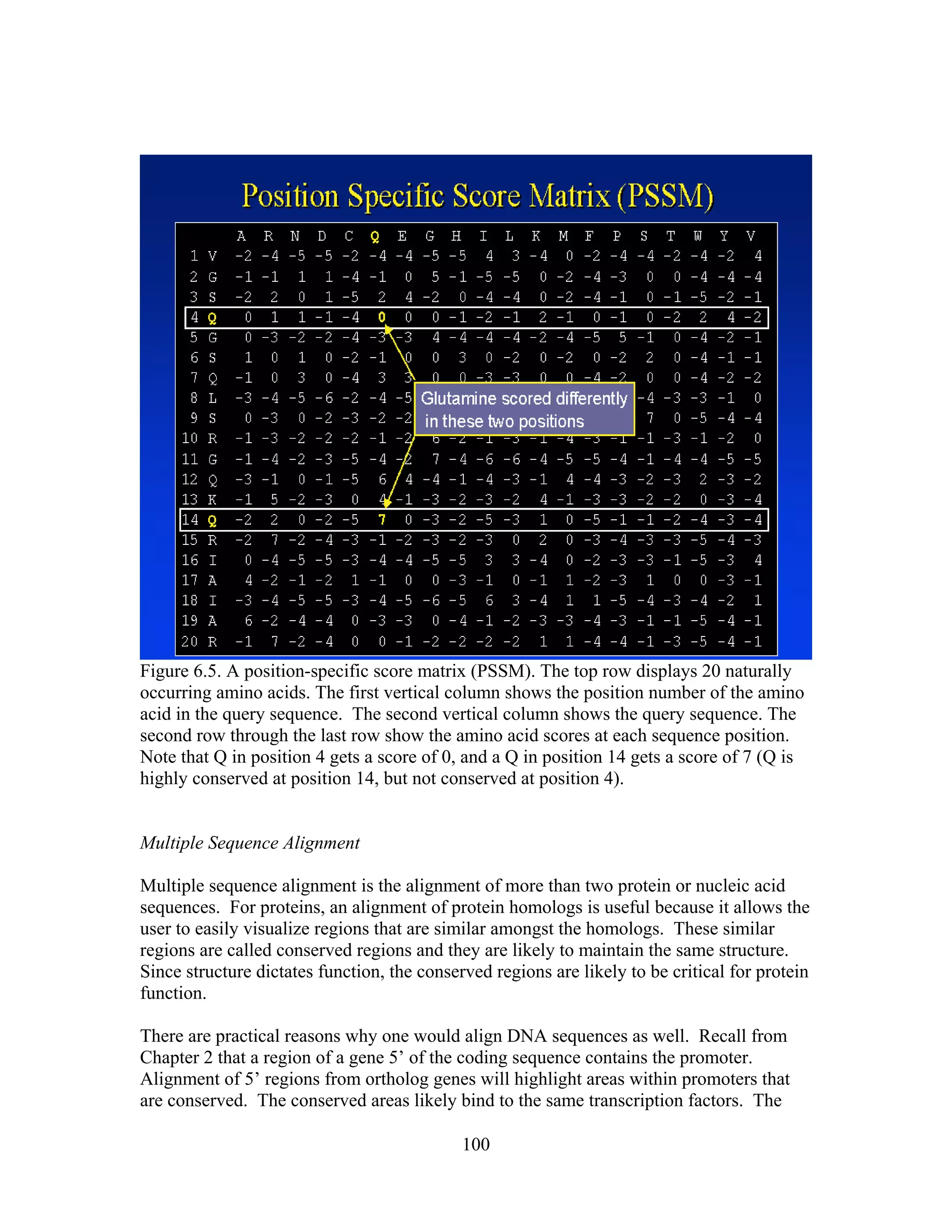 Figure 6.5. A position-specific score matrix (PSSM). The top row displays 20 naturally
occurring amino acids. The first vertical column shows the position number of the amino
acid in the query sequence. The second vertical column shows the query sequence. The
second row through the last row show the amino acid scores at each sequence position.
Note that Q in position 4 gets a score of 0, and a Q in position 14 gets a score of 7 (Q is
highly conserved at position 14, but not conserved at position 4).
Multiple Sequence Alignment
Multiple sequence alignment is the alignment of more than two protein or nucleic acid
sequences. For proteins, an alignment of protein homologs is useful because it allows the
user to easily visualize regions that are similar amongst the homologs. These similar
regions are called conserved regions and they are likely to maintain the same structure.
Since structure dictates function, the conserved regions are likely to be critical for protein
function.
There are practical reasons why one would align DNA sequences as well. Recall from
Chapter 2 that a region of a gene 5’ of the coding sequence contains the promoter.
Alignment of 5’ regions from ortholog genes will highlight areas within promoters that
are conserved. The conserved areas likely bind to the same transcription factors. The
100
 
