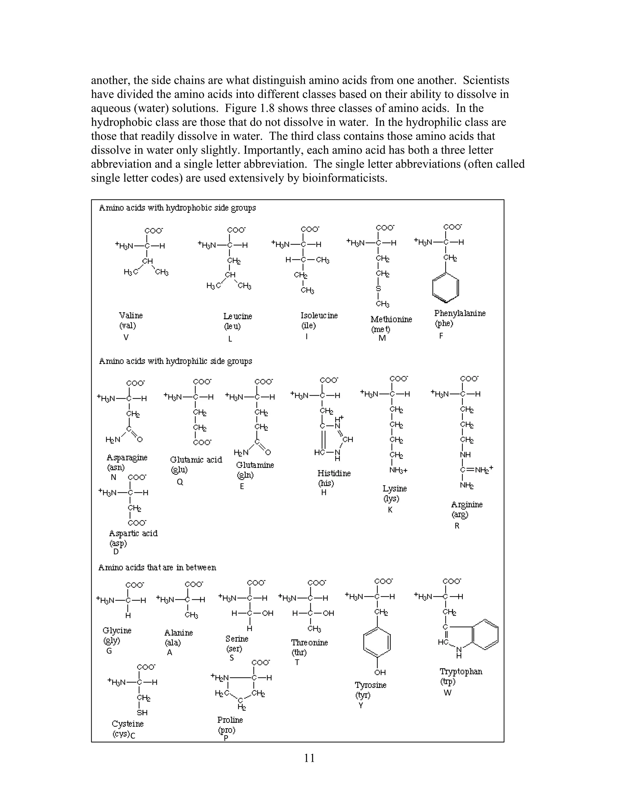 another, the side chains are what distinguish amino acids from one another. Scientists
have divided the amino acids into different classes based on their ability to dissolve in
aqueous (water) solutions. Figure 1.8 shows three classes of amino acids. In the
hydrophobic class are those that do not dissolve in water. In the hydrophilic class are
those that readily dissolve in water. The third class contains those amino acids that
dissolve in water only slightly. Importantly, each amino acid has both a three letter
abbreviation and a single letter abbreviation. The single letter abbreviations (often called
single letter codes) are used extensively by bioinformaticists.
V  L  I M F 
N 
Q 
E 
H
K
R 
D 
G  A 
S 
T
Y
W 
C  P 
11
 