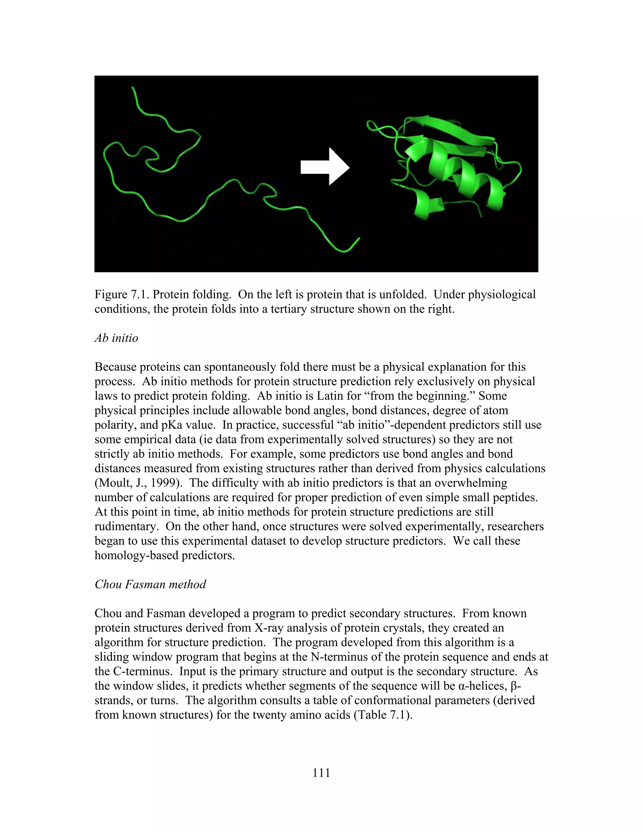Figure 7.1. Protein folding. On the left is protein that is unfolded. Under physiological
conditions, the protein folds into a tertiary structure shown on the right.
Ab initio
Because proteins can spontaneously fold there must be a physical explanation for this
process. Ab initio methods for protein structure prediction rely exclusively on physical
laws to predict protein folding. Ab initio is Latin for “from the beginning.” Some
physical principles include allowable bond angles, bond distances, degree of atom
polarity, and pKa value. In practice, successful “ab initio”-dependent predictors still use
some empirical data (ie data from experimentally solved structures) so they are not
strictly ab initio methods. For example, some predictors use bond angles and bond
distances measured from existing structures rather than derived from physics calculations
(Moult, J., 1999). The difficulty with ab initio predictors is that an overwhelming
number of calculations are required for proper prediction of even simple small peptides.
At this point in time, ab initio methods for protein structure predictions are still
rudimentary. On the other hand, once structures were solved experimentally, researchers
began to use this experimental dataset to develop structure predictors. We call these
homology-based predictors.
Chou Fasman method
Chou and Fasman developed a program to predict secondary structures. From known
protein structures derived from X-ray analysis of protein crystals, they created an
algorithm for structure prediction. The program developed from this algorithm is a
sliding window program that begins at the N-terminus of the protein sequence and ends at
the C-terminus. Input is the primary structure and output is the secondary structure. As
the window slides, it predicts whether segments of the sequence will be α-helices, β-
strands, or turns. The algorithm consults a table of conformational parameters (derived
from known structures) for the twenty amino acids (Table 7.1).
111
 