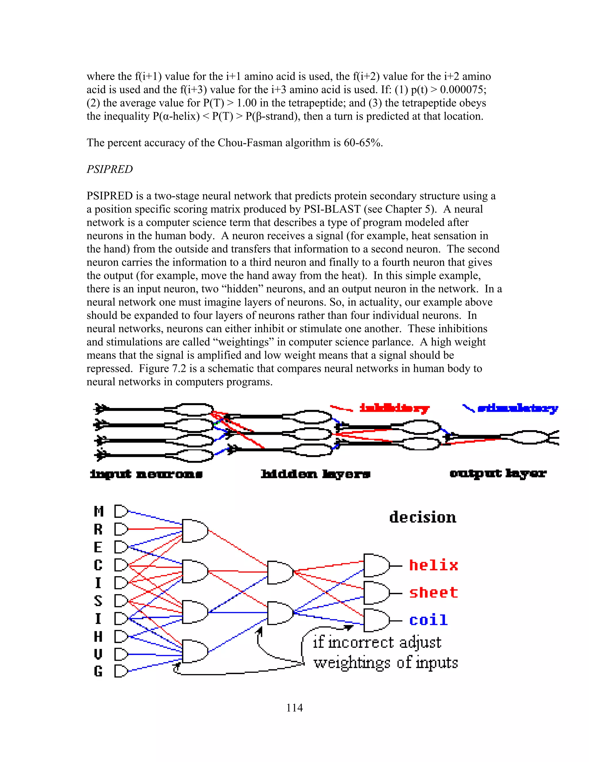 where the f(i+1) value for the i+1 amino acid is used, the f(i+2) value for the i+2 amino
acid is used and the f(i+3) value for the i+3 amino acid is used. If: (1) p(t) > 0.000075;
(2) the average value for P(T) > 1.00 in the tetrapeptide; and (3) the tetrapeptide obeys
the inequality P(α-helix) < P(T) > P(β-strand), then a turn is predicted at that location.
The percent accuracy of the Chou-Fasman algorithm is 60-65%.
PSIPRED
PSIPRED is a two-stage neural network that predicts protein secondary structure using a
a position specific scoring matrix produced by PSI-BLAST (see Chapter 5). A neural
network is a computer science term that describes a type of program modeled after
neurons in the human body. A neuron receives a signal (for example, heat sensation in
the hand) from the outside and transfers that information to a second neuron. The second
neuron carries the information to a third neuron and finally to a fourth neuron that gives
the output (for example, move the hand away from the heat). In this simple example,
there is an input neuron, two “hidden” neurons, and an output neuron in the network. In a
neural network one must imagine layers of neurons. So, in actuality, our example above
should be expanded to four layers of neurons rather than four individual neurons. In
neural networks, neurons can either inhibit or stimulate one another. These inhibitions
and stimulations are called “weightings” in computer science parlance. A high weight
means that the signal is amplified and low weight means that a signal should be
repressed. Figure 7.2 is a schematic that compares neural networks in human body to
neural networks in computers programs.
114
 