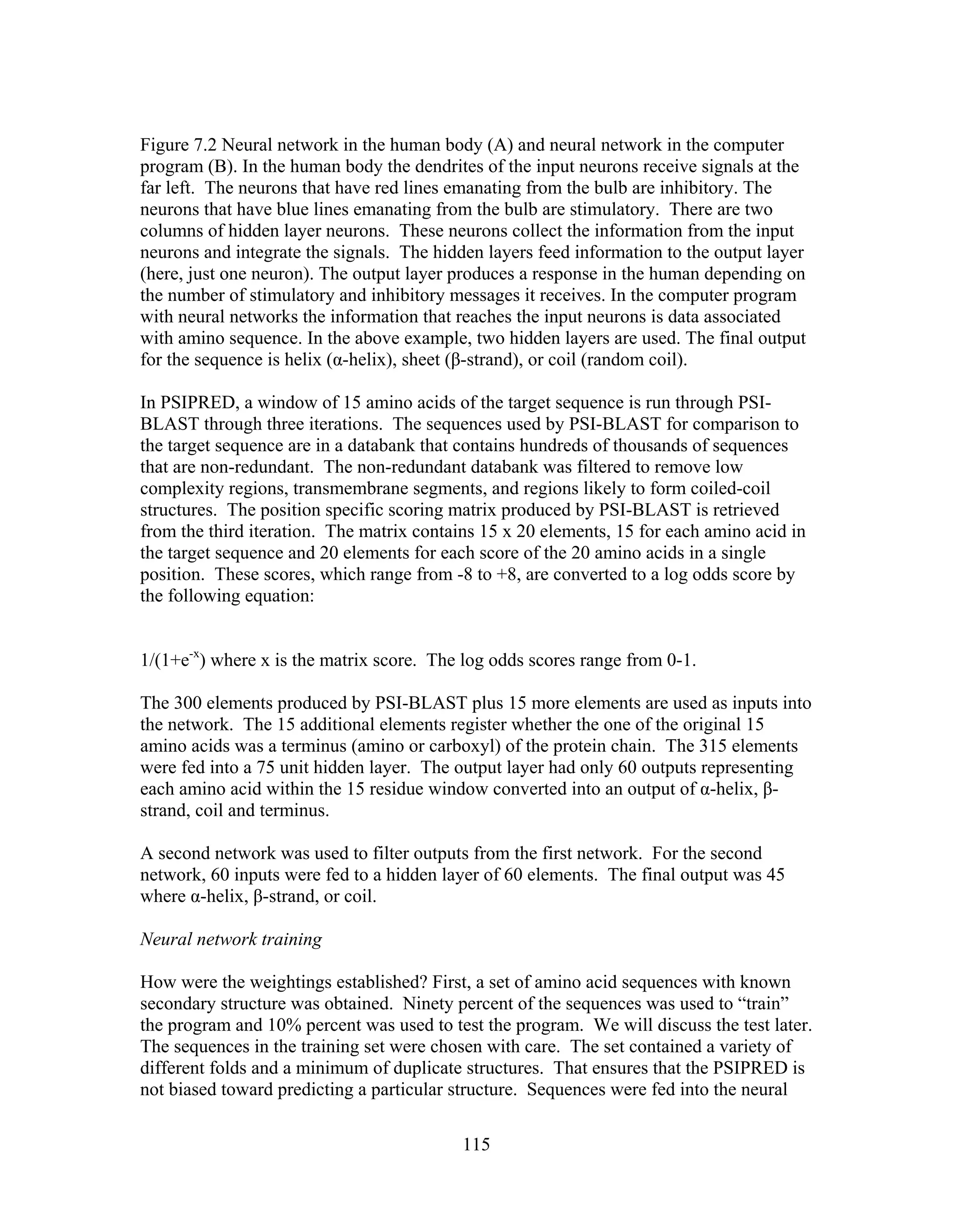 Figure 7.2 Neural network in the human body (A) and neural network in the computer
program (B). In the human body the dendrites of the input neurons receive signals at the
far left. The neurons that have red lines emanating from the bulb are inhibitory. The
neurons that have blue lines emanating from the bulb are stimulatory. There are two
columns of hidden layer neurons. These neurons collect the information from the input
neurons and integrate the signals. The hidden layers feed information to the output layer
(here, just one neuron). The output layer produces a response in the human depending on
the number of stimulatory and inhibitory messages it receives. In the computer program
with neural networks the information that reaches the input neurons is data associated
with amino sequence. In the above example, two hidden layers are used. The final output
for the sequence is helix (α-helix), sheet (β-strand), or coil (random coil).
In PSIPRED, a window of 15 amino acids of the target sequence is run through PSI-
BLAST through three iterations. The sequences used by PSI-BLAST for comparison to
the target sequence are in a databank that contains hundreds of thousands of sequences
that are non-redundant. The non-redundant databank was filtered to remove low
complexity regions, transmembrane segments, and regions likely to form coiled-coil
structures. The position specific scoring matrix produced by PSI-BLAST is retrieved
from the third iteration. The matrix contains 15 x 20 elements, 15 for each amino acid in
the target sequence and 20 elements for each score of the 20 amino acids in a single
position. These scores, which range from -8 to +8, are converted to a log odds score by
the following equation:
1/(1+e-x
) where x is the matrix score. The log odds scores range from 0-1.
The 300 elements produced by PSI-BLAST plus 15 more elements are used as inputs into
the network. The 15 additional elements register whether the one of the original 15
amino acids was a terminus (amino or carboxyl) of the protein chain. The 315 elements
were fed into a 75 unit hidden layer. The output layer had only 60 outputs representing
each amino acid within the 15 residue window converted into an output of α-helix, β-
strand, coil and terminus.
A second network was used to filter outputs from the first network. For the second
network, 60 inputs were fed to a hidden layer of 60 elements. The final output was 45
where α-helix, β-strand, or coil.
Neural network training
How were the weightings established? First, a set of amino acid sequences with known
secondary structure was obtained. Ninety percent of the sequences was used to “train”
the program and 10% percent was used to test the program. We will discuss the test later.
The sequences in the training set were chosen with care. The set contained a variety of
different folds and a minimum of duplicate structures. That ensures that the PSIPRED is
not biased toward predicting a particular structure. Sequences were fed into the neural
115
 