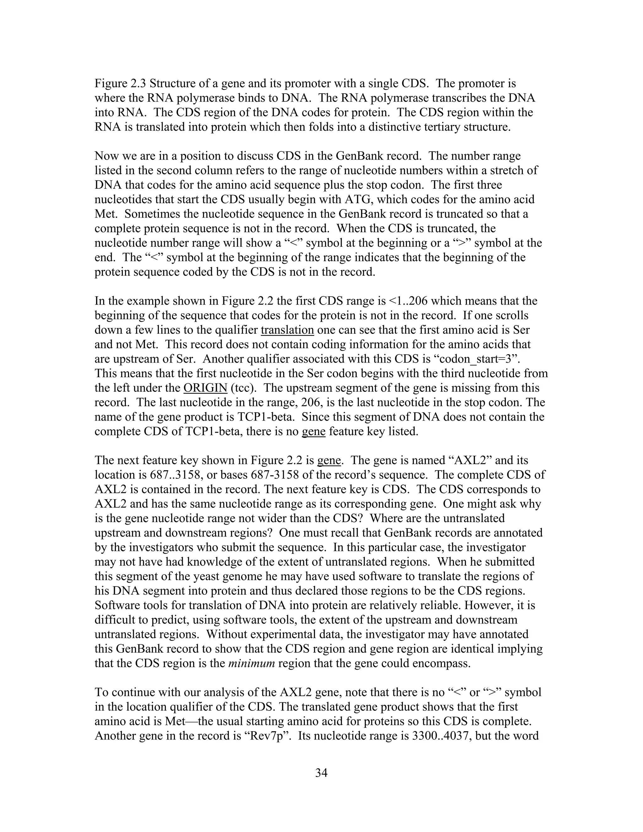 Figure 2.3 Structure of a gene and its promoter with a single CDS. The promoter is
where the RNA polymerase binds to DNA. The RNA polymerase transcribes the DNA
into RNA. The CDS region of the DNA codes for protein. The CDS region within the
RNA is translated into protein which then folds into a distinctive tertiary structure.
Now we are in a position to discuss CDS in the GenBank record. The number range
listed in the second column refers to the range of nucleotide numbers within a stretch of
DNA that codes for the amino acid sequence plus the stop codon. The first three
nucleotides that start the CDS usually begin with ATG, which codes for the amino acid
Met. Sometimes the nucleotide sequence in the GenBank record is truncated so that a
complete protein sequence is not in the record. When the CDS is truncated, the
nucleotide number range will show a “<” symbol at the beginning or a “>” symbol at the
end. The “<” symbol at the beginning of the range indicates that the beginning of the
protein sequence coded by the CDS is not in the record.
In the example shown in Figure 2.2 the first CDS range is <1..206 which means that the
beginning of the sequence that codes for the protein is not in the record. If one scrolls
down a few lines to the qualifier translation one can see that the first amino acid is Ser
and not Met. This record does not contain coding information for the amino acids that
are upstream of Ser. Another qualifier associated with this CDS is “codon_start=3”.
This means that the first nucleotide in the Ser codon begins with the third nucleotide from
the left under the ORIGIN (tcc). The upstream segment of the gene is missing from this
record. The last nucleotide in the range, 206, is the last nucleotide in the stop codon. The
name of the gene product is TCP1-beta. Since this segment of DNA does not contain the
complete CDS of TCP1-beta, there is no gene feature key listed.
The next feature key shown in Figure 2.2 is gene. The gene is named “AXL2” and its
location is 687..3158, or bases 687-3158 of the record’s sequence. The complete CDS of
AXL2 is contained in the record. The next feature key is CDS. The CDS corresponds to
AXL2 and has the same nucleotide range as its corresponding gene. One might ask why
is the gene nucleotide range not wider than the CDS? Where are the untranslated
upstream and downstream regions? One must recall that GenBank records are annotated
by the investigators who submit the sequence. In this particular case, the investigator
may not have had knowledge of the extent of untranslated regions. When he submitted
this segment of the yeast genome he may have used software to translate the regions of
his DNA segment into protein and thus declared those regions to be the CDS regions.
Software tools for translation of DNA into protein are relatively reliable. However, it is
difficult to predict, using software tools, the extent of the upstream and downstream
untranslated regions. Without experimental data, the investigator may have annotated
this GenBank record to show that the CDS region and gene region are identical implying
that the CDS region is the minimum region that the gene could encompass.
To continue with our analysis of the AXL2 gene, note that there is no “<” or “>” symbol
in the location qualifier of the CDS. The translated gene product shows that the first
amino acid is Met—the usual starting amino acid for proteins so this CDS is complete.
Another gene in the record is “Rev7p”. Its nucleotide range is 3300..4037, but the word
34
 