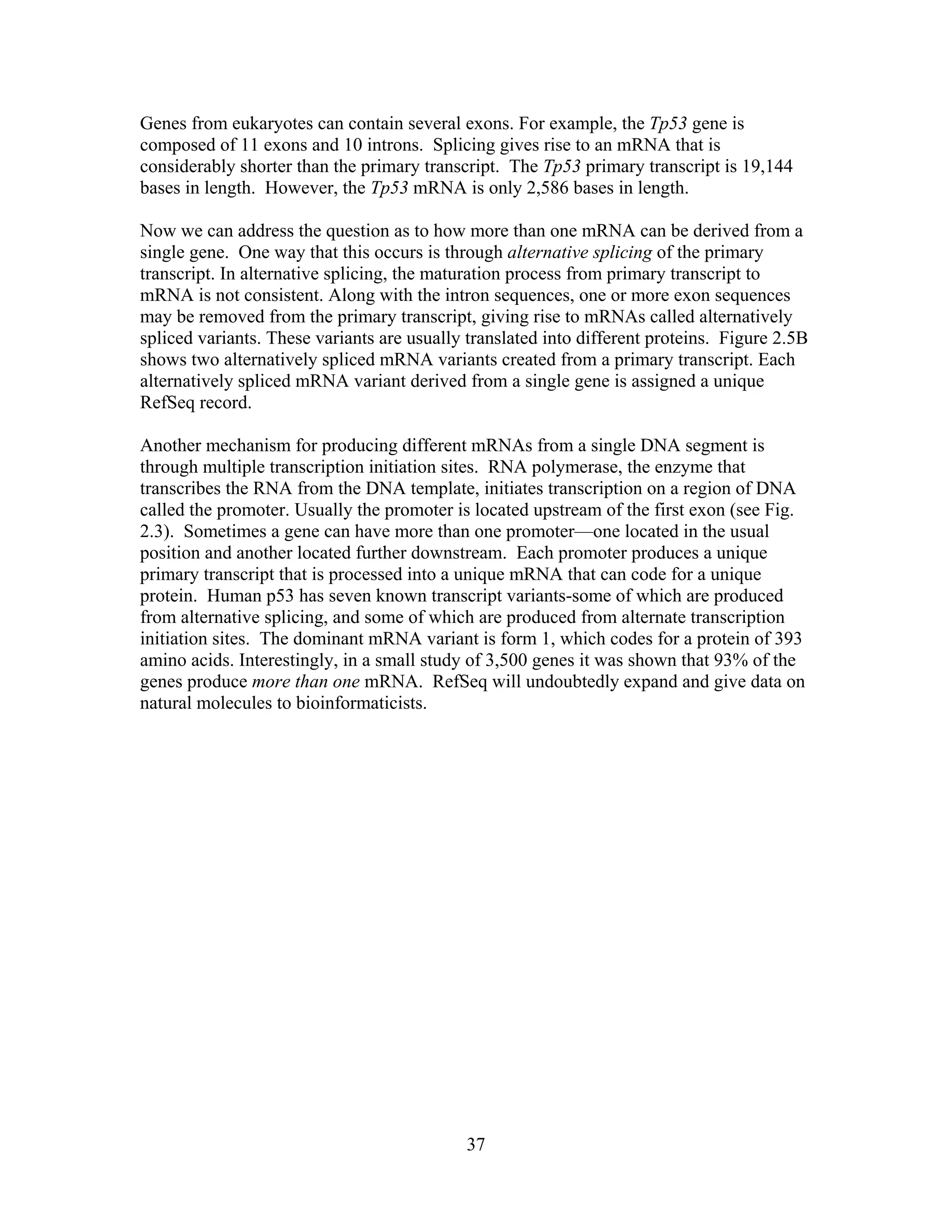 Genes from eukaryotes can contain several exons. For example, the Tp53 gene is
composed of 11 exons and 10 introns. Splicing gives rise to an mRNA that is
considerably shorter than the primary transcript. The Tp53 primary transcript is 19,144
bases in length. However, the Tp53 mRNA is only 2,586 bases in length.
Now we can address the question as to how more than one mRNA can be derived from a
single gene. One way that this occurs is through alternative splicing of the primary
transcript. In alternative splicing, the maturation process from primary transcript to
mRNA is not consistent. Along with the intron sequences, one or more exon sequences
may be removed from the primary transcript, giving rise to mRNAs called alternatively
spliced variants. These variants are usually translated into different proteins. Figure 2.5B
shows two alternatively spliced mRNA variants created from a primary transcript. Each
alternatively spliced mRNA variant derived from a single gene is assigned a unique
RefSeq record.
Another mechanism for producing different mRNAs from a single DNA segment is
through multiple transcription initiation sites. RNA polymerase, the enzyme that
transcribes the RNA from the DNA template, initiates transcription on a region of DNA
called the promoter. Usually the promoter is located upstream of the first exon (see Fig.
2.3). Sometimes a gene can have more than one promoter—one located in the usual
position and another located further downstream. Each promoter produces a unique
primary transcript that is processed into a unique mRNA that can code for a unique
protein. Human p53 has seven known transcript variants-some of which are produced
from alternative splicing, and some of which are produced from alternate transcription
initiation sites. The dominant mRNA variant is form 1, which codes for a protein of 393
amino acids. Interestingly, in a small study of 3,500 genes it was shown that 93% of the
genes produce more than one mRNA. RefSeq will undoubtedly expand and give data on
natural molecules to bioinformaticists.
37
 