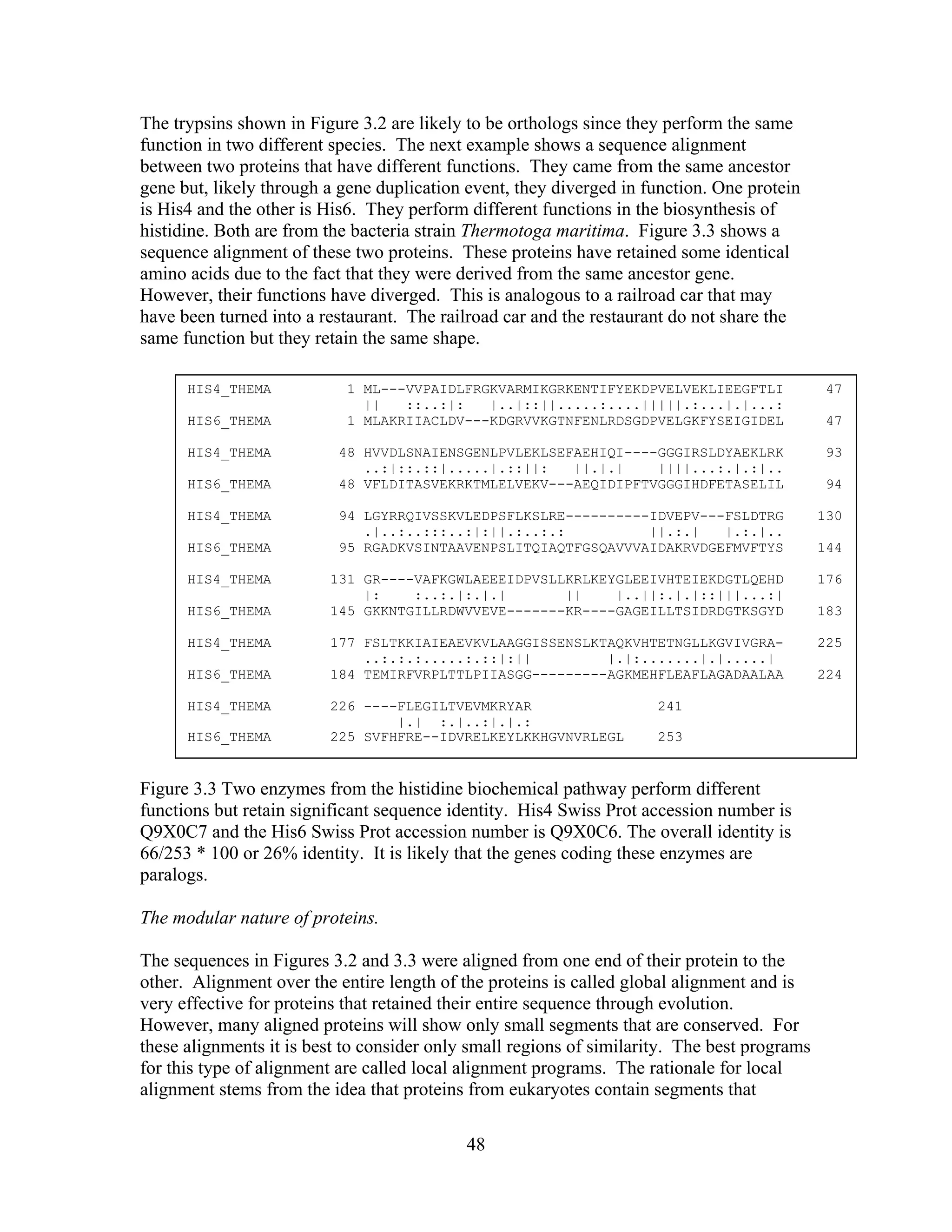 The trypsins shown in Figure 3.2 are likely to be orthologs since they perform the same
function in two different species. The next example shows a sequence alignment
between two proteins that have different functions. They came from the same ancestor
gene but, likely through a gene duplication event, they diverged in function. One protein
is His4 and the other is His6. They perform different functions in the biosynthesis of
histidine. Both are from the bacteria strain Thermotoga maritima. Figure 3.3 shows a
sequence alignment of these two proteins. These proteins have retained some identical
amino acids due to the fact that they were derived from the same ancestor gene.
However, their functions have diverged. This is analogous to a railroad car that may
have been turned into a restaurant. The railroad car and the restaurant do not share the
same function but they retain the same shape.
HIS4_THEMA 1 ML---VVPAIDLFRGKVARMIKGRKENTIFYEKDPVELVEKLIEEGFTLI 47
|| ::..:|: |..|::||.....:....|||||.:...|.|...:
HIS6_THEMA 1 MLAKRIIACLDV---KDGRVVKGTNFENLRDSGDPVELGKFYSEIGIDEL 47
HIS4_THEMA 48 HVVDLSNAIENSGENLPVLEKLSEFAEHIQI----GGGIRSLDYAEKLRK 93
..:|::.::|.....|.::||: ||.|.| ||||...:.|.:|..
HIS6_THEMA 48 VFLDITASVEKRKTMLELVEKV---AEQIDIPFTVGGGIHDFETASELIL 94
HIS4_THEMA 94 LGYRRQIVSSKVLEDPSFLKSLRE----------IDVEPV---FSLDTRG 130
.|..:..:::..:|:||.:..:.: ||.:.| |.:.|..
HIS6_THEMA 95 RGADKVSINTAAVENPSLITQIAQTFGSQAVVVAIDAKRVDGEFMVFTYS 144
HIS4_THEMA 131 GR----VAFKGWLAEEEIDPVSLLKRLKEYGLEEIVHTEIEKDGTLQEHD 176
|: :..:.|:.|.| || |..||:.|.|::|||...:|
HIS6_THEMA 145 GKKNTGILLRDWVVEVE-------KR----GAGEILLTSIDRDGTKSGYD 183
HIS4_THEMA 177 FSLTKKIAIEAEVKVLAAGGISSENSLKTAQKVHTETNGLLKGVIVGRA- 225
..:.:.:.....:.::|:|| |.|:.......|.|.....|
HIS6_THEMA 184 TEMIRFVRPLTTLPIIASGG---------AGKMEHFLEAFLAGADAALAA 224
HIS4_THEMA 226 ----FLEGILTVEVMKRYAR 241
|.| :.|..:|.|.:
HIS6_THEMA 225 SVFHFRE--IDVRELKEYLKKHGVNVRLEGL 253
Figure 3.3 Two enzymes from the histidine biochemical pathway perform different
functions but retain significant sequence identity. His4 Swiss Prot accession number is
Q9X0C7 and the His6 Swiss Prot accession number is Q9X0C6. The overall identity is
66/253 * 100 or 26% identity. It is likely that the genes coding these enzymes are
paralogs.
The modular nature of proteins.
The sequences in Figures 3.2 and 3.3 were aligned from one end of their protein to the
other. Alignment over the entire length of the proteins is called global alignment and is
very effective for proteins that retained their entire sequence through evolution.
However, many aligned proteins will show only small segments that are conserved. For
these alignments it is best to consider only small regions of similarity. The best programs
for this type of alignment are called local alignment programs. The rationale for local
alignment stems from the idea that proteins from eukaryotes contain segments that
48
 